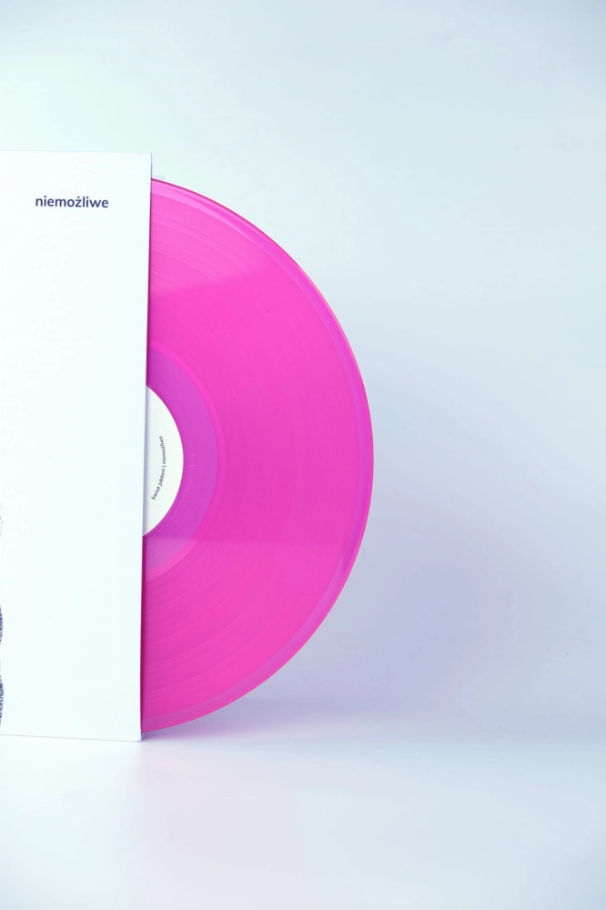 Vinyl_niemozliwe3.JPG